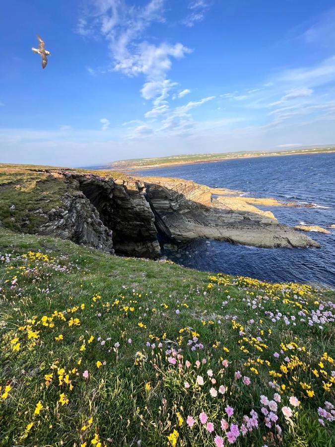 Peedie Cott Self-Catering, Orkney Saint Margarets Hope Bagian luar foto