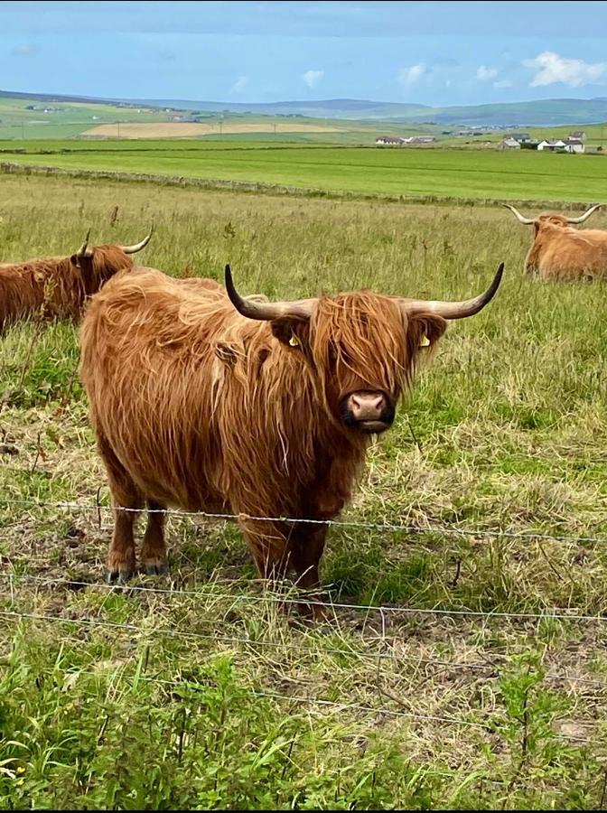 Peedie Cott Self-Catering, Orkney Saint Margarets Hope Bagian luar foto